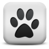 Captcha image 4729